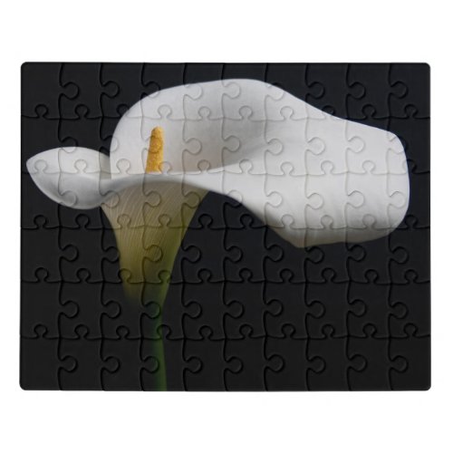 Flowers  White Calla Lily Jigsaw Puzzle