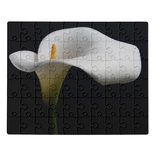 Flowers | White Calla Lily Jigsaw Puzzle (Puzzle Horizontal)
