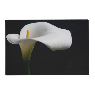 Flowers   White Calla Lily Placemat