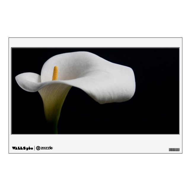 Flowers | White Calla Lily Wall Decal (Front)