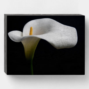 Flowers   White Calla Lily Wooden Box Sign