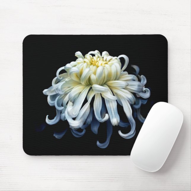 Flowers | White Chrysanthemum Mouse Pad (With Mouse)