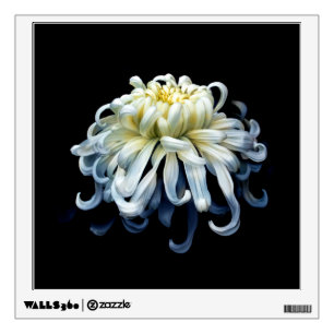 Flowers White Chrysanthemum Wall Decal