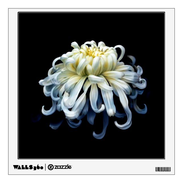 Flowers | White Chrysanthemum Wall Decal (Front)