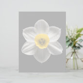 Flowers | White Daffodil Flower (Standing Front)