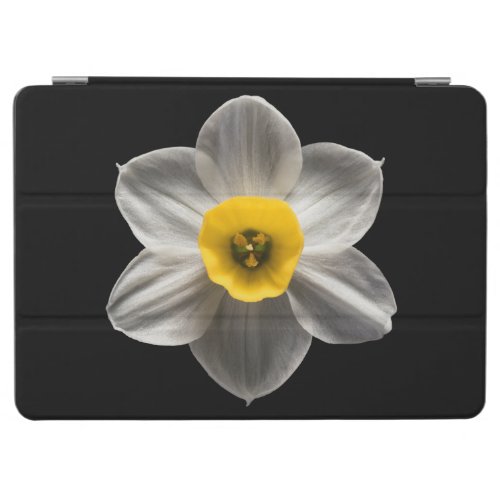 Flowers  White Daffodil Flower iPad Air Cover