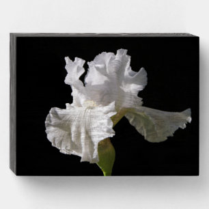 Flowers White Iris Wooden Box Sign