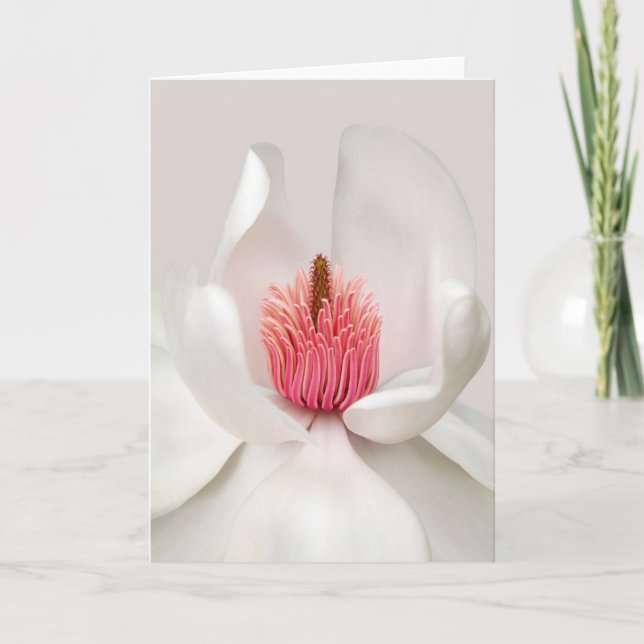 Flowers | White Magnolia Card (Front)