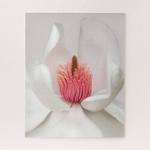 Flowers  White Magnolia Jigsaw Puzzle