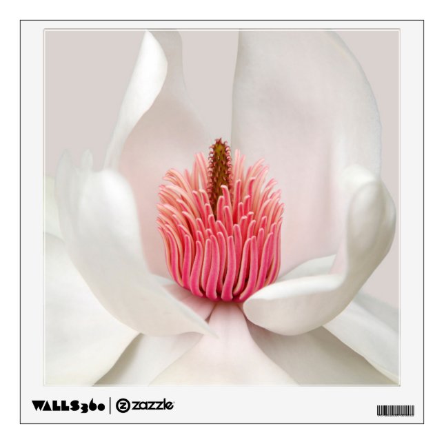 Flowers | White Magnolia Wall Decal (Front)