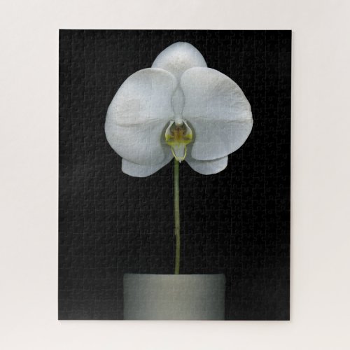 Flowers  White Orchid Flower Jigsaw Puzzle