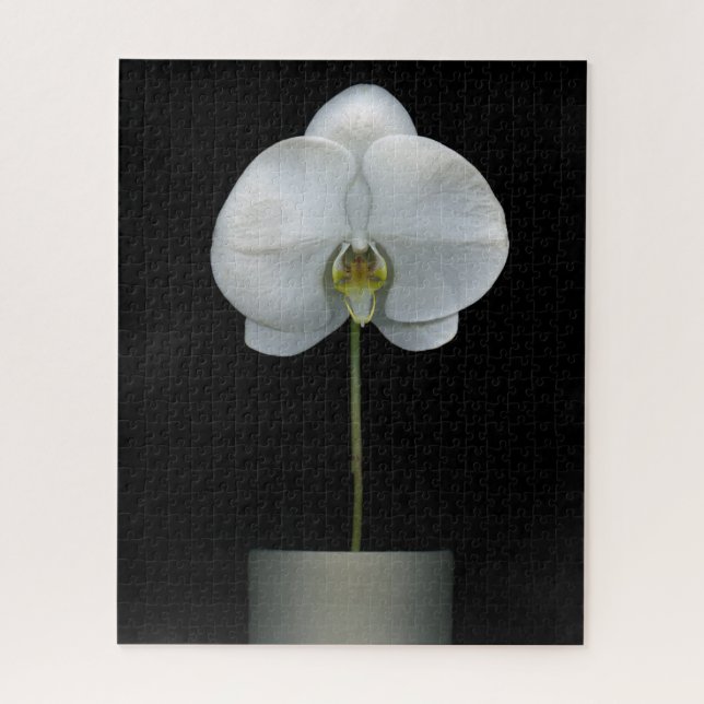 Flowers | White Orchid Flower Jigsaw Puzzle (Vertical)