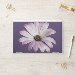 Flowers White & Purple Daisy HP Laptop Skin