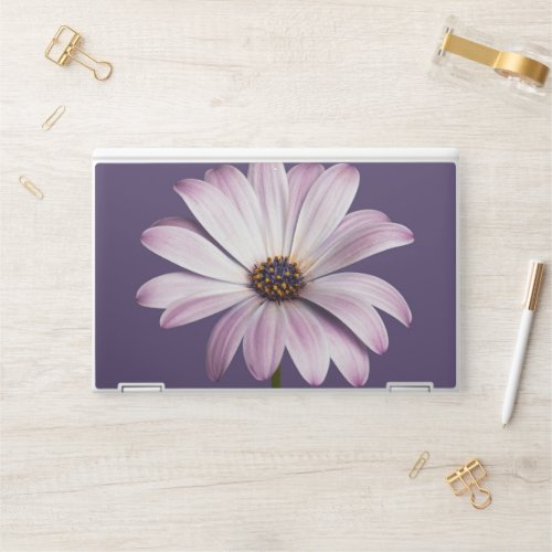 Flowers  White  Purple Daisy HP Laptop Skin