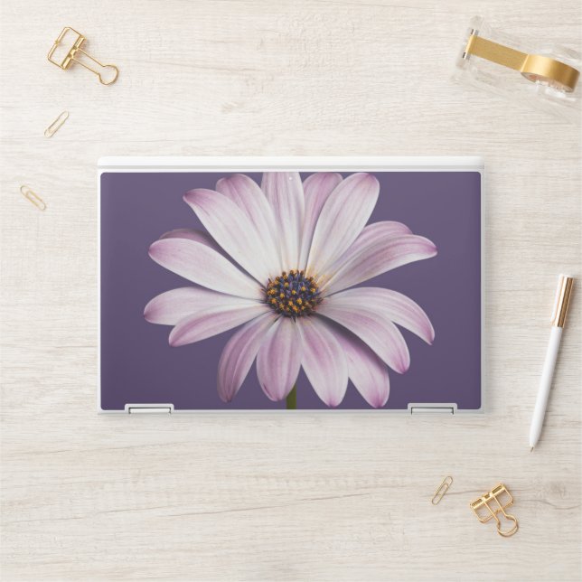 Flowers | White & Purple Daisy HP Laptop Skin (Desk)