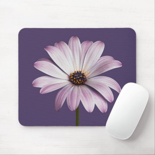 Flowers  White  Purple Daisy Mouse Pad