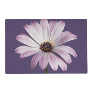 Flowers White & Purple Daisy Placemat