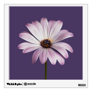 Flowers White & Purple Daisy Wall Decal