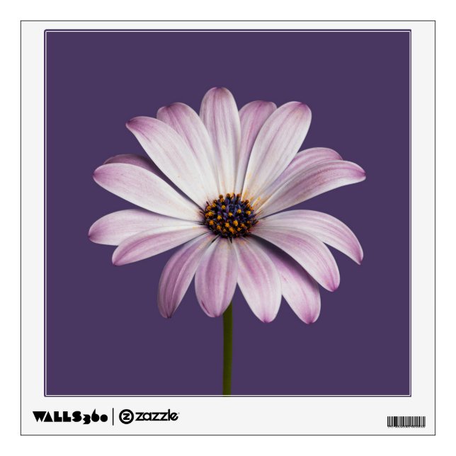 Flowers | White & Purple Daisy Wall Decal (Front)