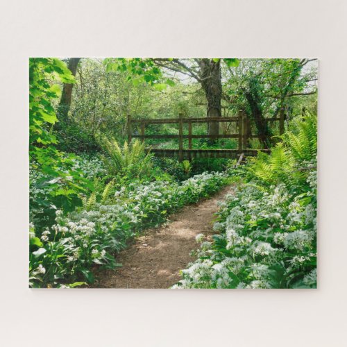 Flowers  White Wildflowers in Forest Jigsaw Puzzle