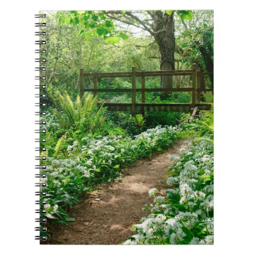 Flowers  White Wildflowers in Forest Notebook