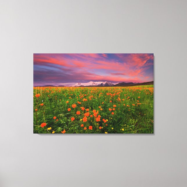 Flowers | Wildflower Field Snowcapped Mountains Canvas Print (Front)