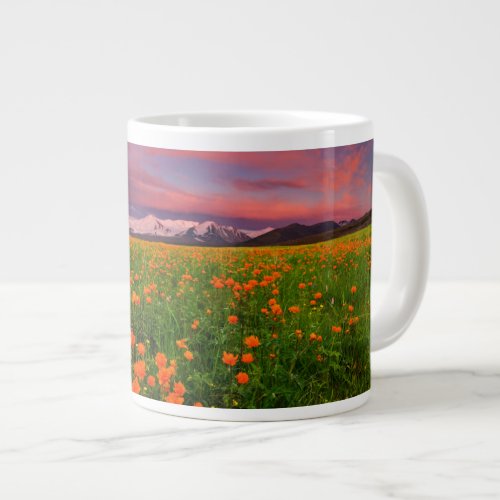 Flowers  Wildflower Field Snowcapped Mountains Giant Coffee Mug