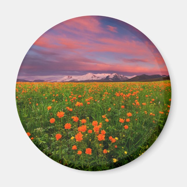 Flowers | Wildflower Field Snowcapped Mountains Magnet (Front)