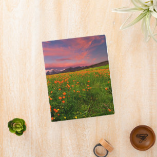 Flowers   Wildflower Field Snowcapped Mountains Mini Binder