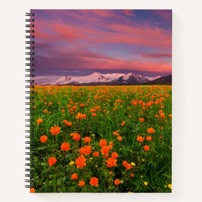Flowers | Wildflower Field Snowcapped Mountains Notebook (Front)