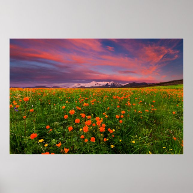 Flowers | Wildflower Field Snowcapped Mountains Poster (Front)