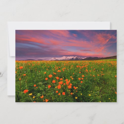 Flowers  Wildflower Field Snowcapped Mountains Thank You Card