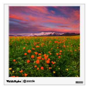Flowers   Wildflower Field Snowcapped Mountains Wall Decal