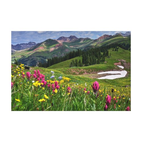 Flowers  Wildflowers Durango Colorado Canvas Print