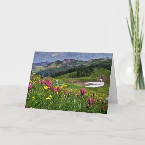 Flowers  Wildflowers Durango Colorado Card