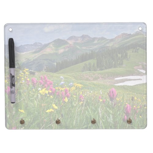 Flowers  Wildflowers Durango Colorado Dry Erase Board With Keychain Holder