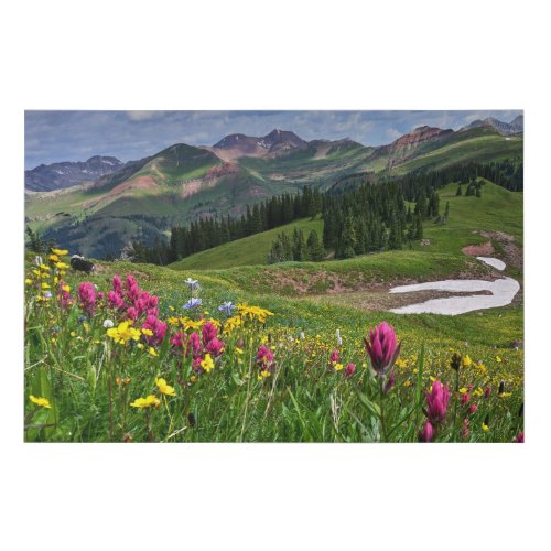 Flowers  Wildflowers Durango Colorado Faux Canvas Print