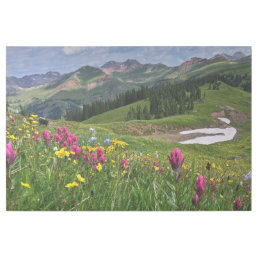 Flowers | Wildflowers Durango, Colorado Gallery Wrap
