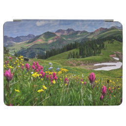 Flowers | Wildflowers Durango, Colorado iPad Air Cover