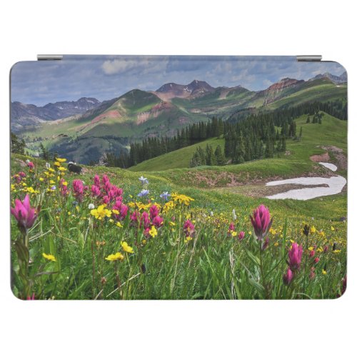 Flowers  Wildflowers Durango Colorado iPad Air Cover
