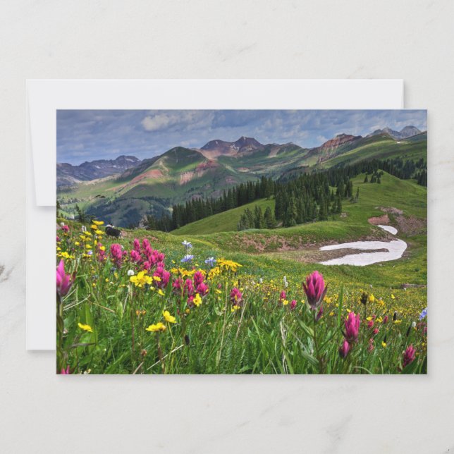 Flowers | Wildflowers Durango, Colorado Thank You Card (Front)