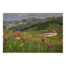 Flowers | Wildflowers Durango, Colorado Wood Wall Art