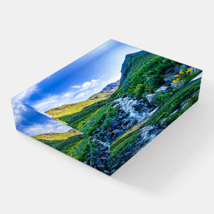 Flowers Wildflowers in Colorado Paperweight