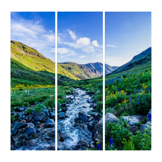 Flowers | Wildflowers in Colorado Triptych (Front)