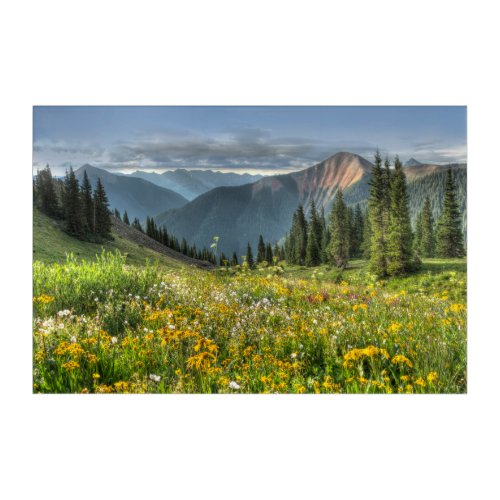 Flowers  Wildflowers Silverton Colorado Acrylic Print