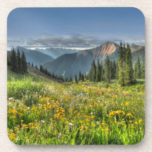 Flowers Wildflowers Silverton Colorado Beverage Coaster