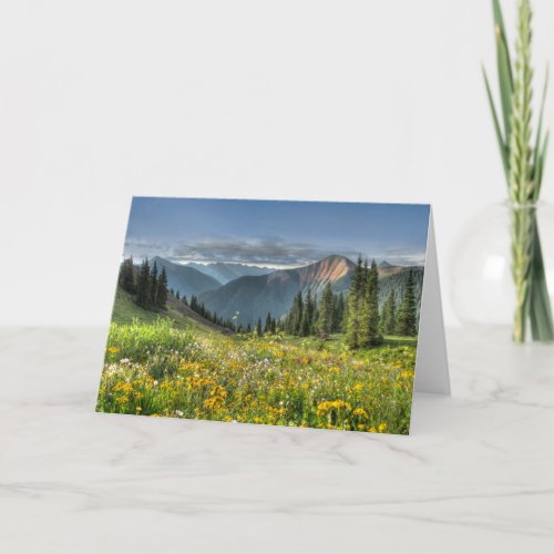 Flowers  Wildflowers Silverton Colorado Card