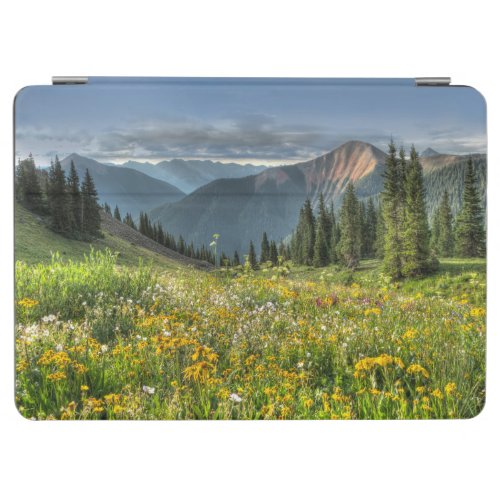 Flowers  Wildflowers Silverton Colorado iPad Air Cover