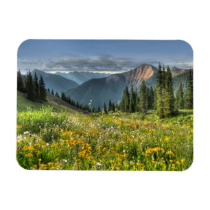 Flowers Wildflowers Silverton Colorado Magnet