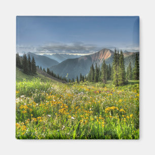Flowers   Wildflowers Silverton Colorado Magnet